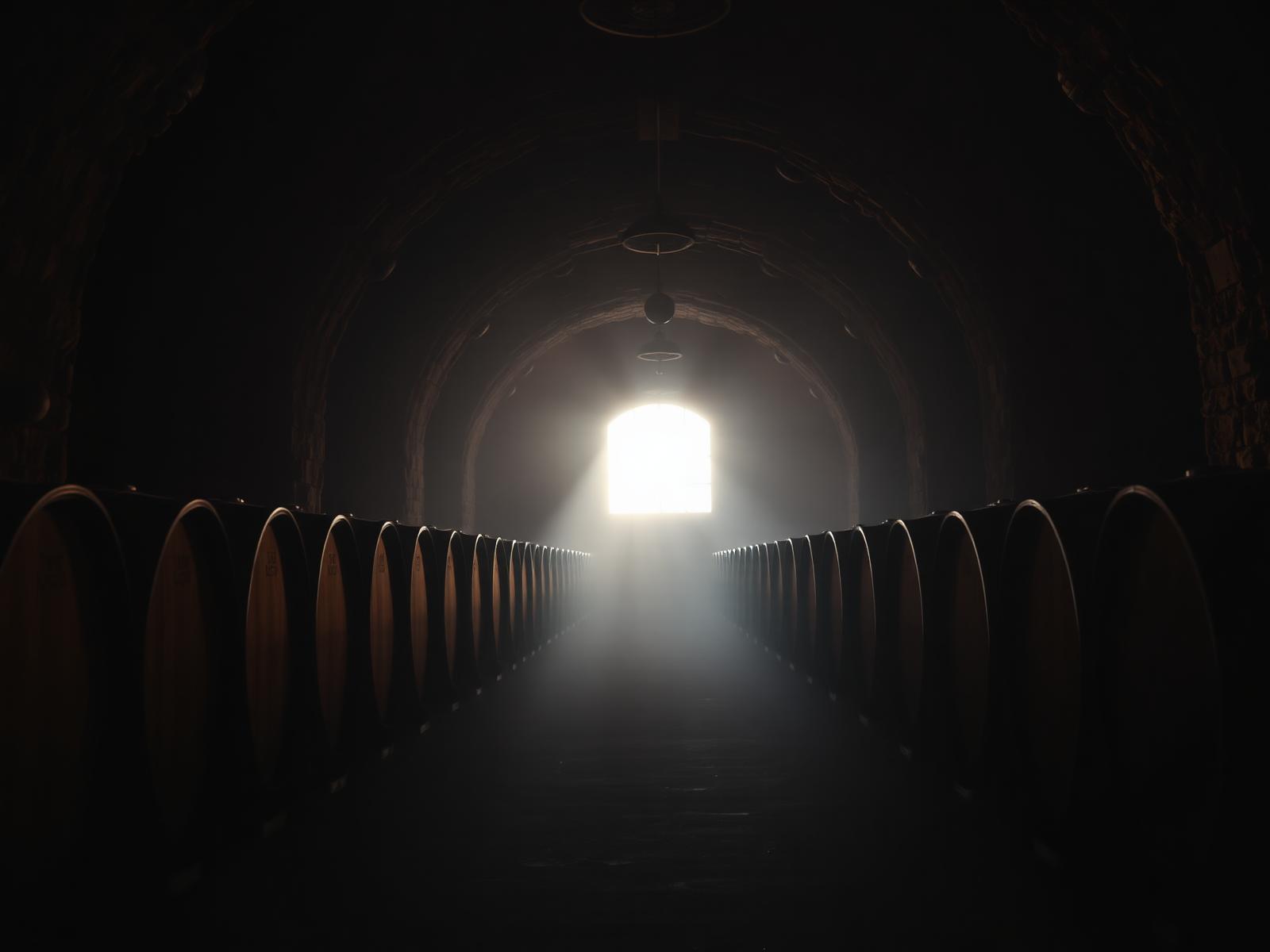 Casa del Duero — Ribera del Duero
